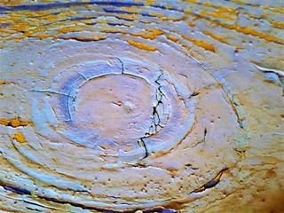 close-up of a wooden abstract wall, with stains and blur. Design for wallpapers, cards, backgrounds