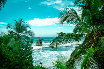 Obrazy na Szkle  tropical beach with palm trees