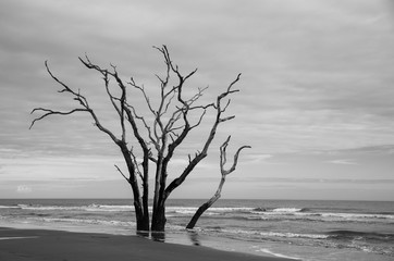 Boneyard Beach