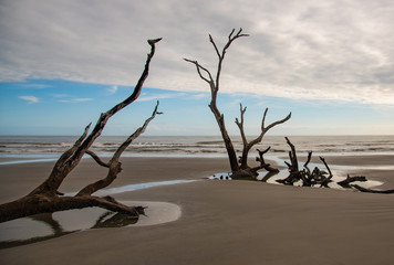 Boneyard Beach