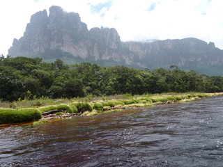 Fototapeta na wymiar Anfahrt auf dem Rio Churún zu den Angel-Falls (Salto Ángel)