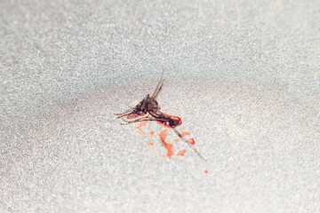 death mosquito