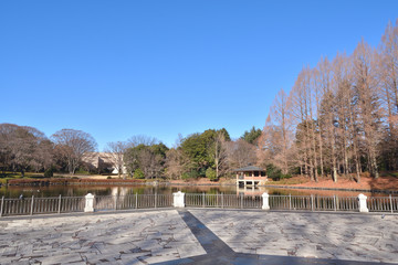 Fototapeta na wymiar 冬の栃木県中央公園