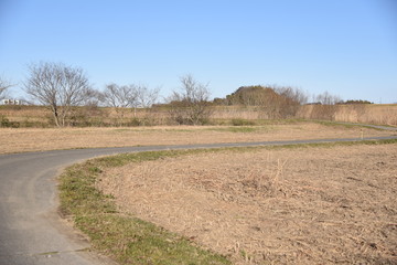 田舎道