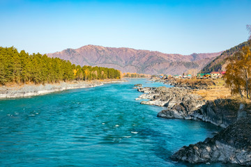 Beautiful view of the Turquoise Katun river in the Altai mountains on a sunny day. Altai Territory in Siberia