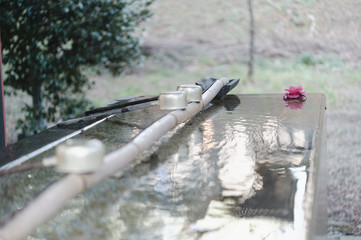 東京都文京区湯島にある聖堂の手水舎