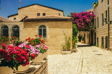 Jerusalem Israeli unofficial capital ancient city street spring time landmark view blossom colorful flowers surrounded by stone paves road and living building