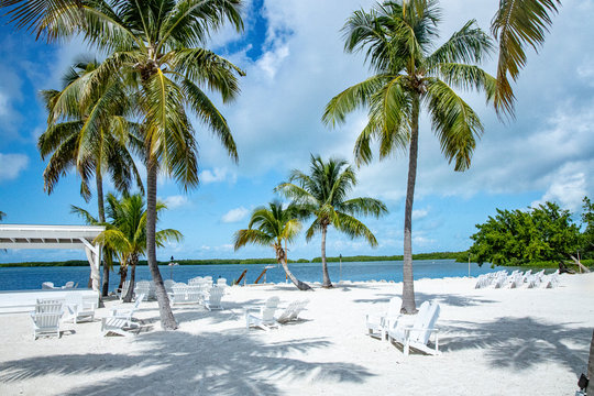 Islamorada Florida Keys Key West Miami USA America Palmen