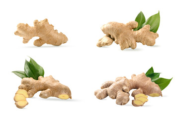 Set of ginger root ,slice and leaves isolated on white background