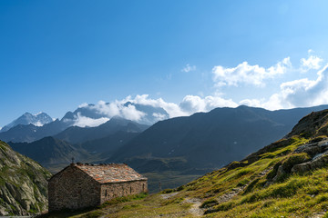 Fototapeta na wymiar Green pastures of theSwiss Alps