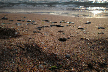 pebbles in the wet sand on the beach against the sea. the sharpness on the pebbles