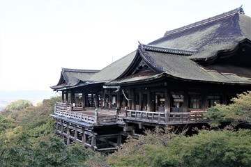 早朝の清水寺