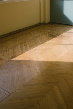 Serralves Museu