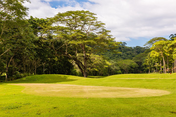 Landscape at the golf course. Tropical zone