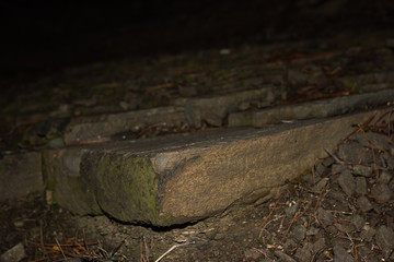 Antique stone steps in the dark with moss