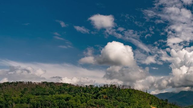 High in the Great Smoky Mountains National Park Timelapse