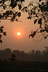  The light of the evening sun in the rice field