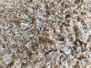 Brown long hair fur for background or texture