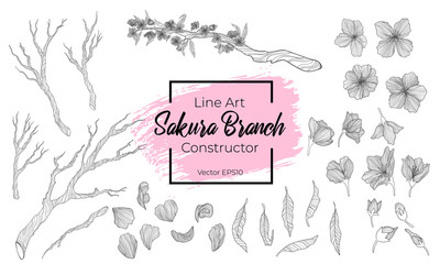 Collection of vector line art hand drawn illustration of blossom sakura branch, leaves, flower and bud. Romantic spring asian cherry tree. Isolated on white background. Coloring books elements.