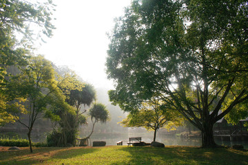 Morning sun and the atmosphere in the garden
