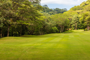 Fototapeta na wymiar Landscape at the golf course. Tropical zone