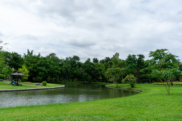 A small clean lake in public park, greenery trees, shrub and bush, green grass lawn in a good care maintenance landscapes, under white clouds blue sky