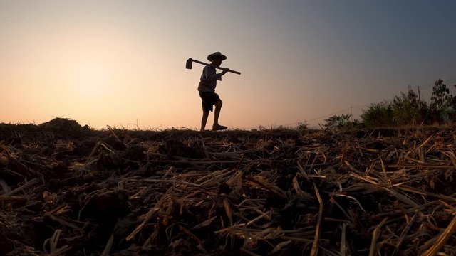 Elderly Asian farmers holding a hoe on his shoulder and walking on ridge in farmland on sunset background.