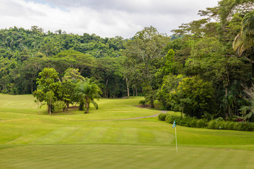 Landscape at the golf course. Tropical zone