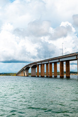 Obraz premium Palmas