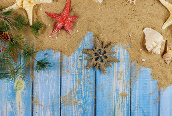 Sea shells and starfish on a branch of christmas tree with blue wooden background