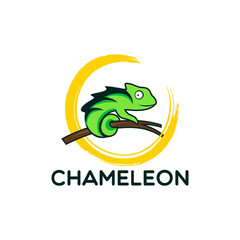 chameleon logo Design Vector illustration 