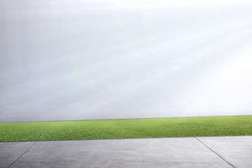 Pathway with green grass