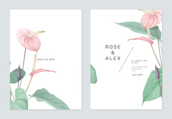 Floral wedding invitation card template design, pink Anthurium flowers with leaves on white