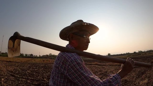 Elderly Asian farmers holding a hoe on his shoulder and walking on ridge in farmland on sunset background.