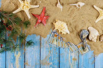 Sea shell on sand starfish summer winter vacation branch of Christmas tree on blue wooden with american hundred dollar bills