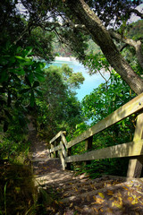 Beautiful coastal track, Ohope, Bay of Plenty