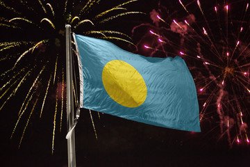 Palau flag blowing in the wind at night