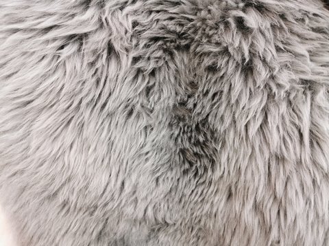 Fur rug, the surface of the sheepskin. Gray fur with a long NAP. A feeling of warmth and softness. Close-up photo. Natural background. Modern art.