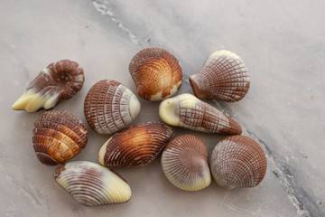 Assorted Chocolate pralines with sea concept on brown background