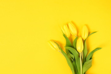 Flowers background. Bouquet of yellow tulips on yellow background top view, copy space.