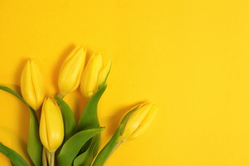 Flowers background. Bouquet of yellow tulips on yellow background top view, copy space.