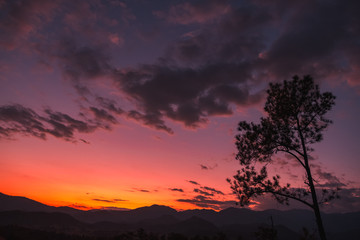 Fototapeta premium Sunset scene, Orange, pink and purple color.