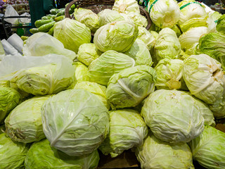 Fototapeta premium Pile of green and fresh cabbage at grocery store