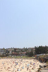 Obraz premium Sydney beach