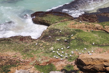 Sydney beach