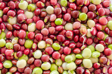 A Spread Of Red And Green Pigeon Peas (Gungu)