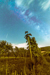 colorful milkyway in the vinegrapes