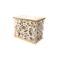 Digital illustration bone structure