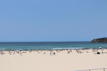 Fototapeta na wymiar Sydney beaches