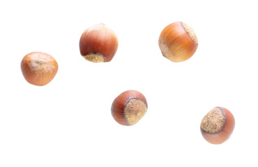 Hazelnuts nuts isolated on a white background
